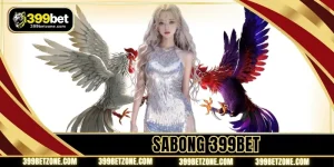 Sabong - Why The Cockfighting Platform Is Always Loved By